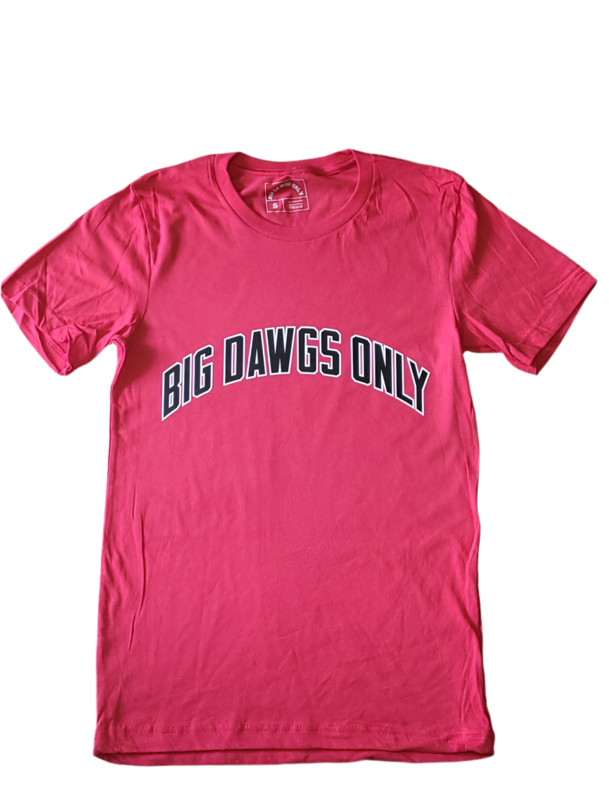 BDO Bulls Colors Tee