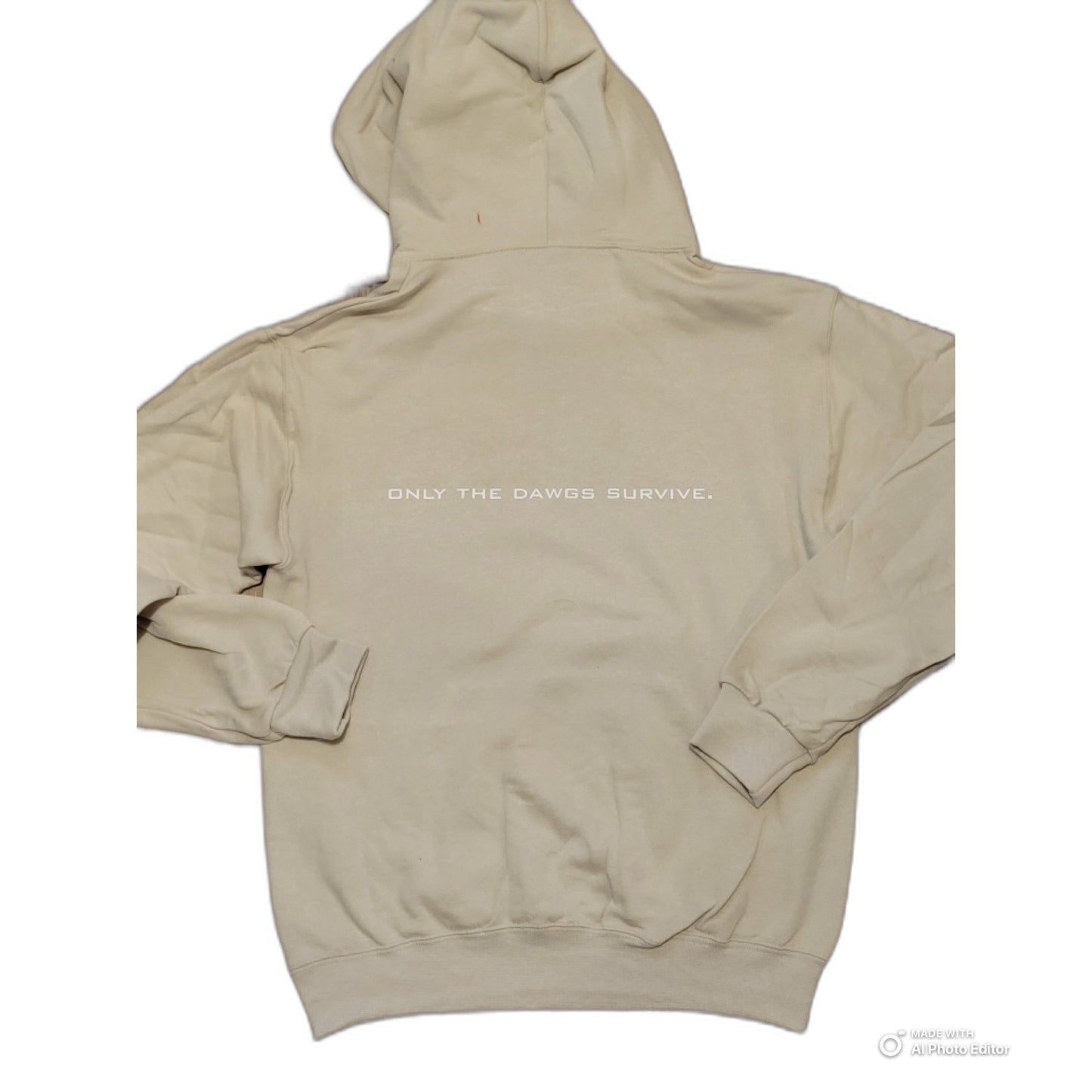 BDO Tan Hoodie ‘25